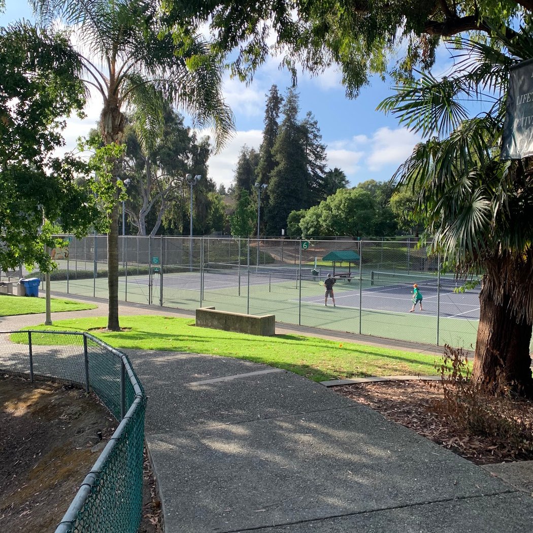 Pickleball Open Play 2