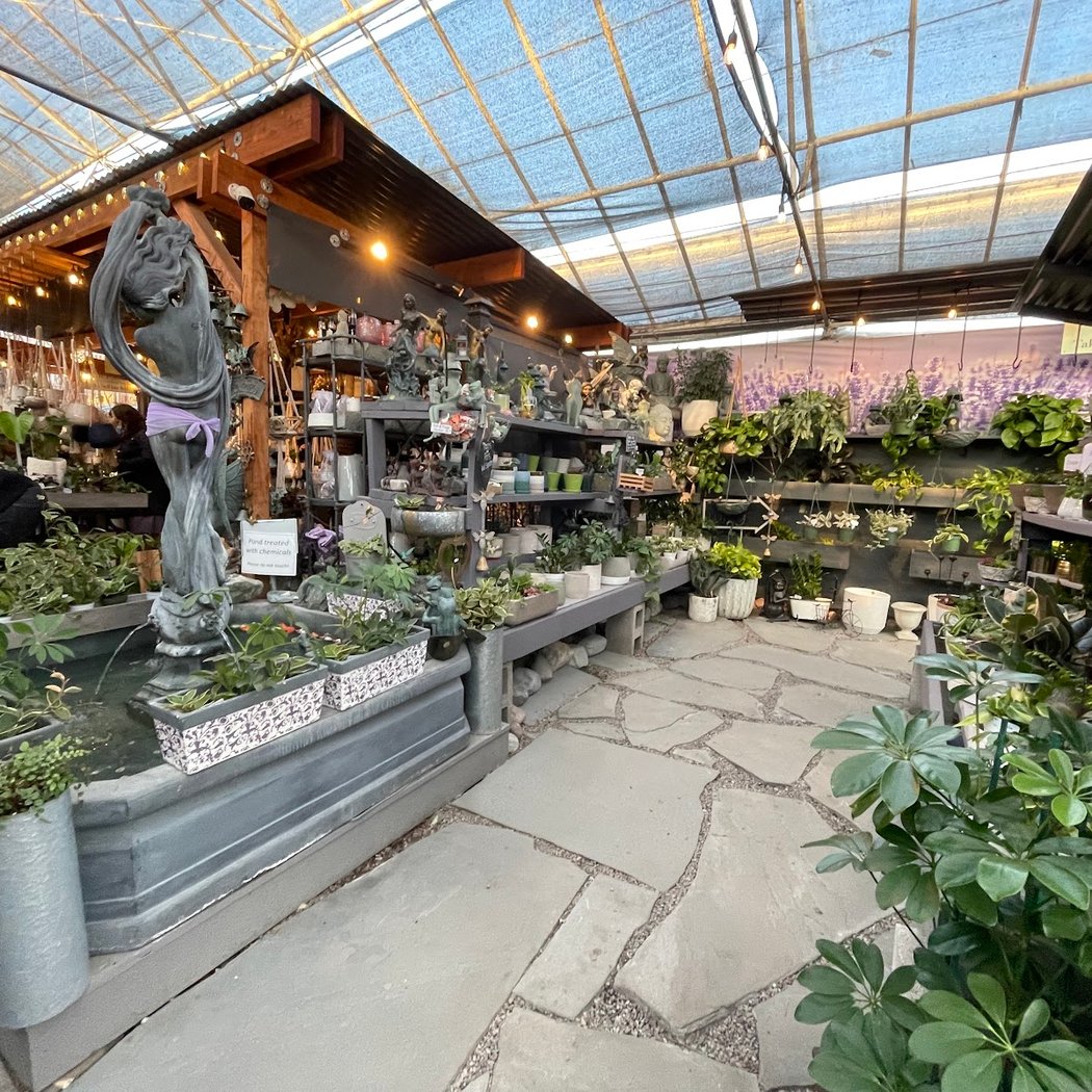 Half Moon Bay Lavender买花市场 3