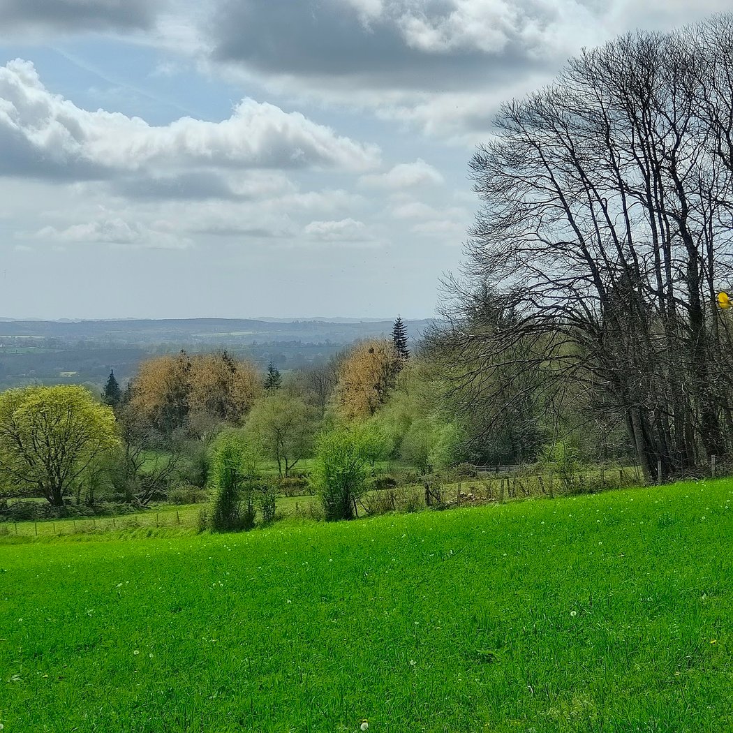 Forêt d'Ecouves 2