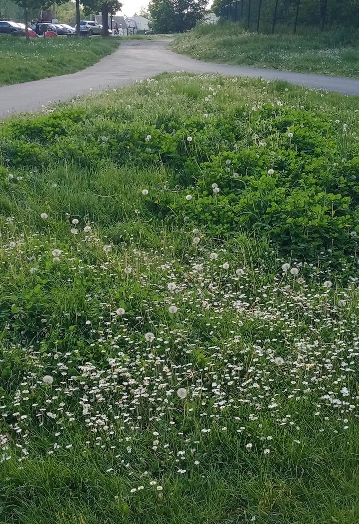 Évry-Courcouronnes Urban Trail 2