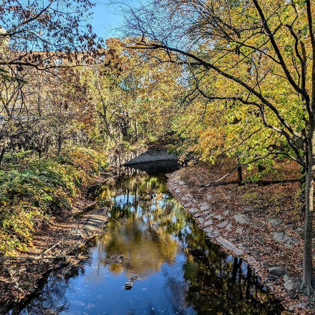 Bronx Park 2