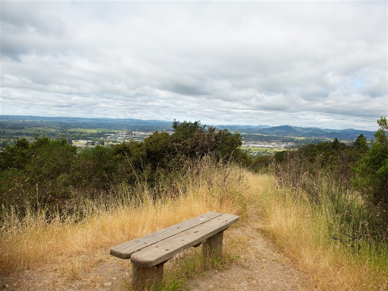 Shiloh Ranch Regional Park 3