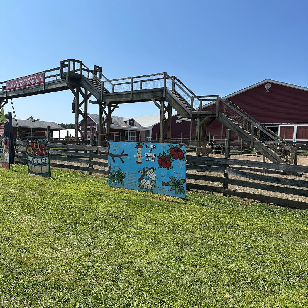 Sunflower Hill Farm 2