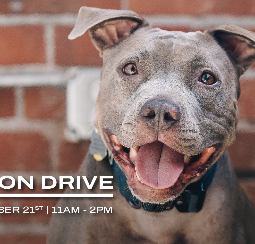 Joybound Adoption Drive 1