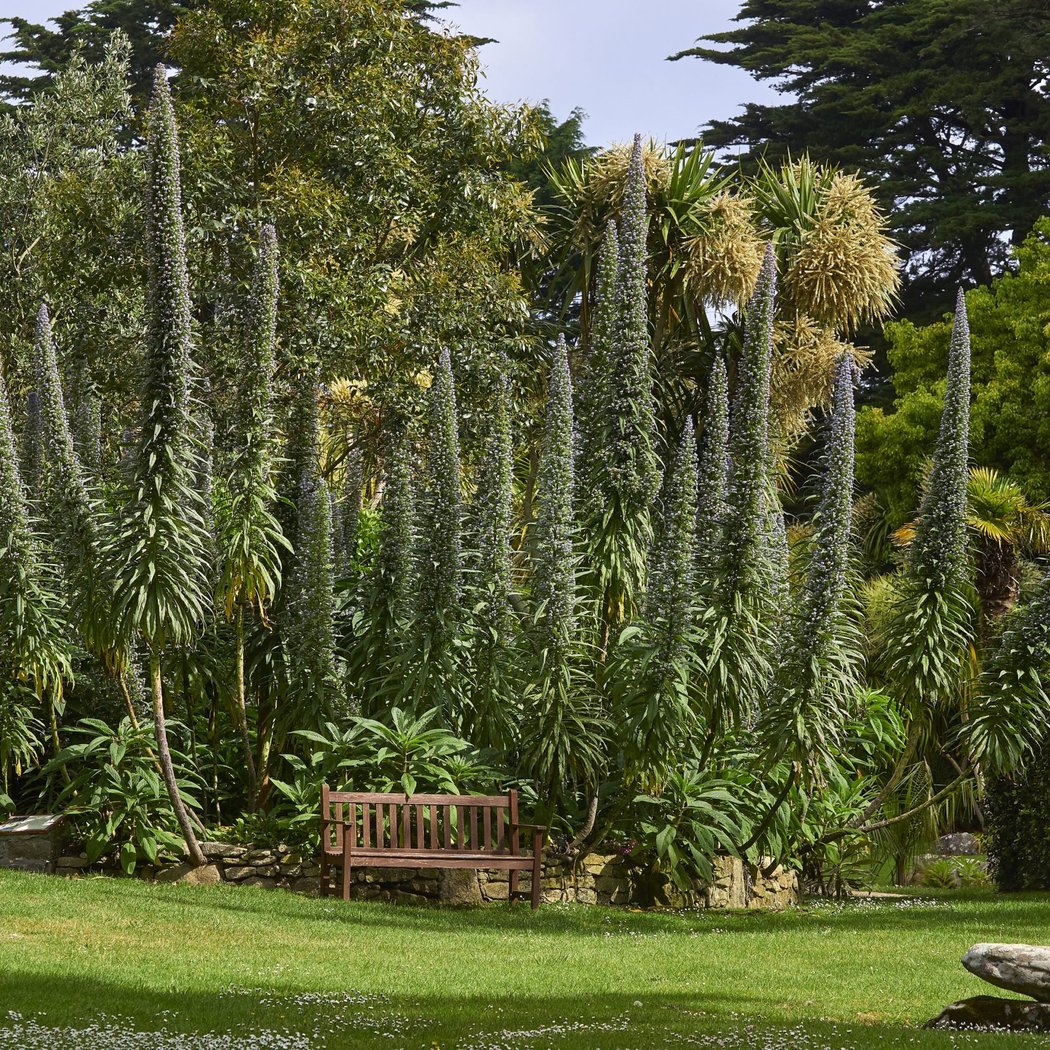 Georges Delaselle Garden 2