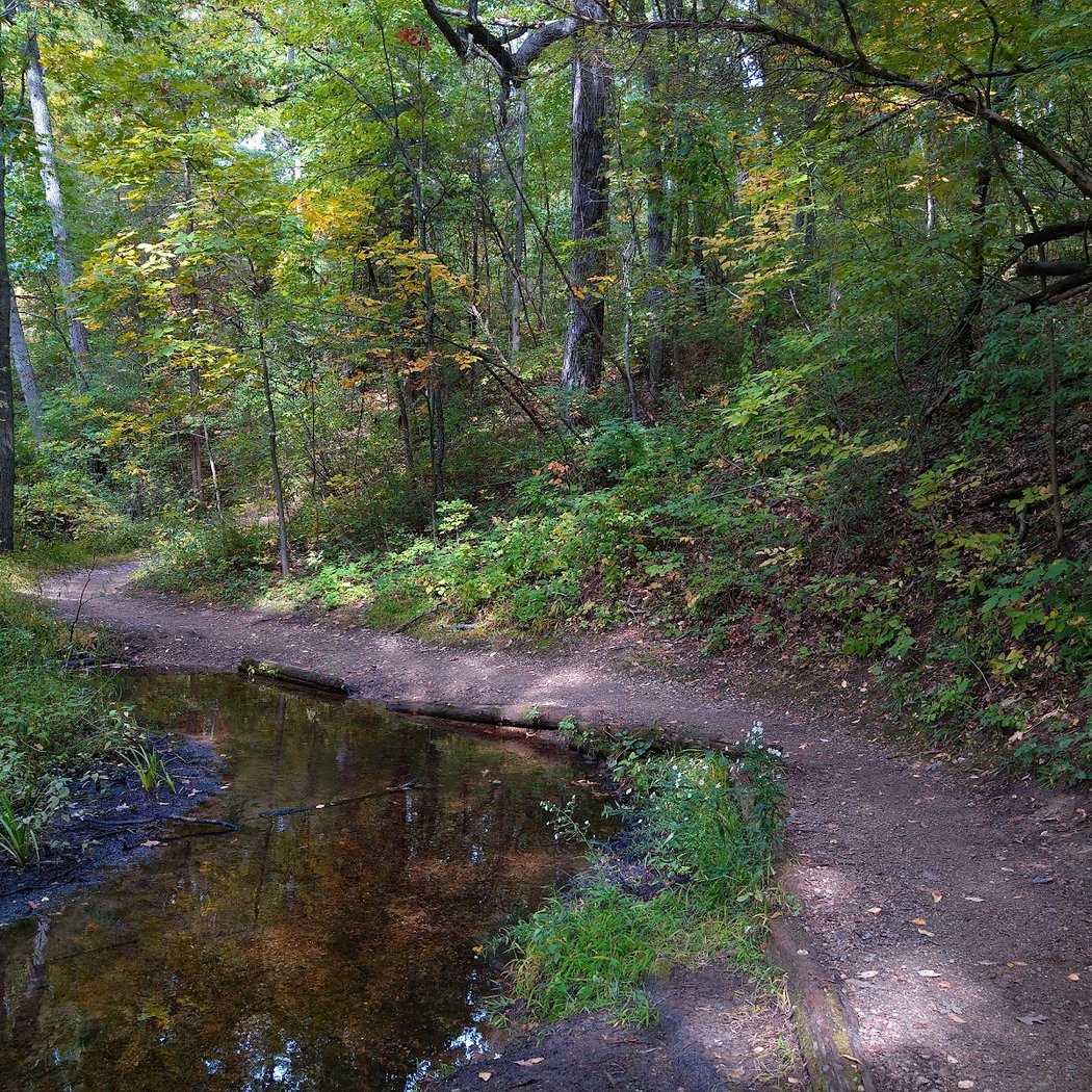Potawatomi Trail 3