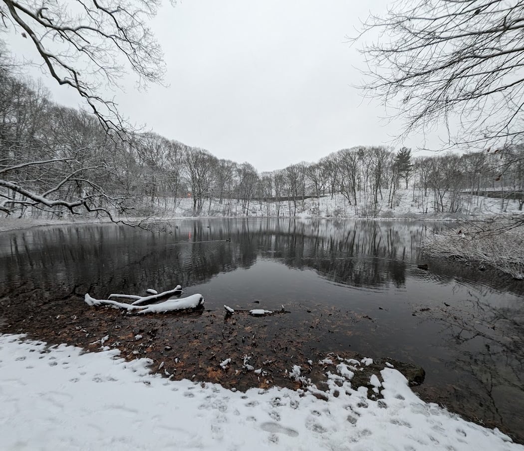 Olmsted Park 3