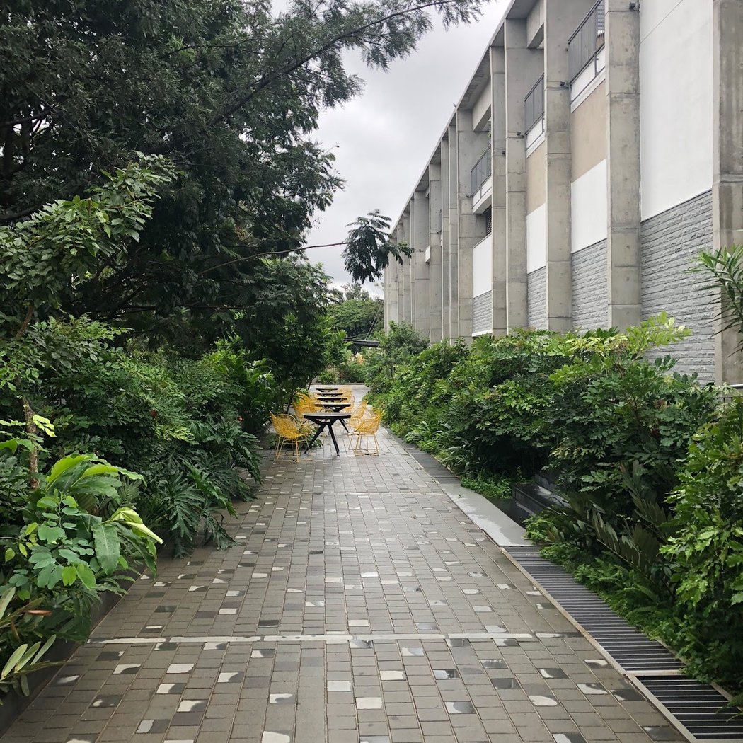 River Realms: The Heartbeat of Bengaluru 2