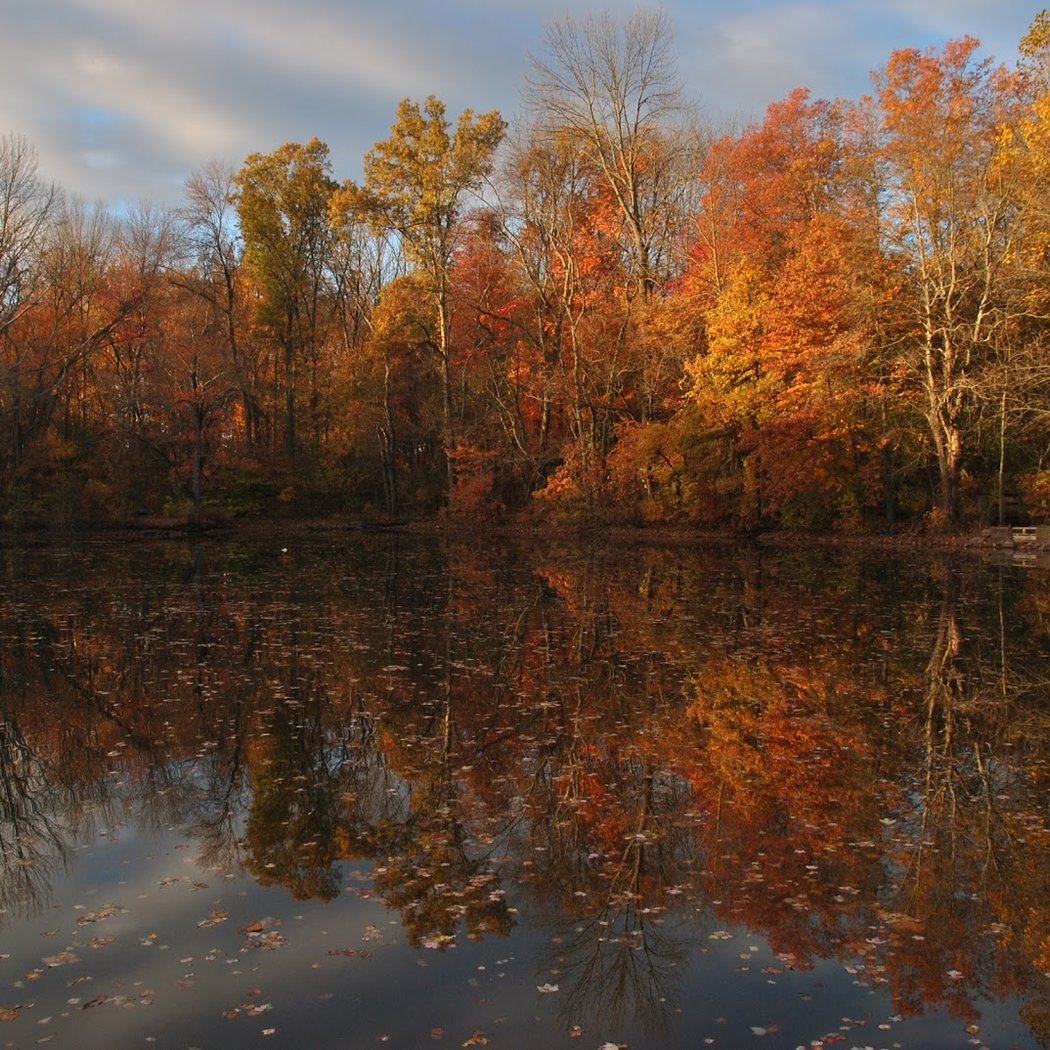 Closter Nature Center 1