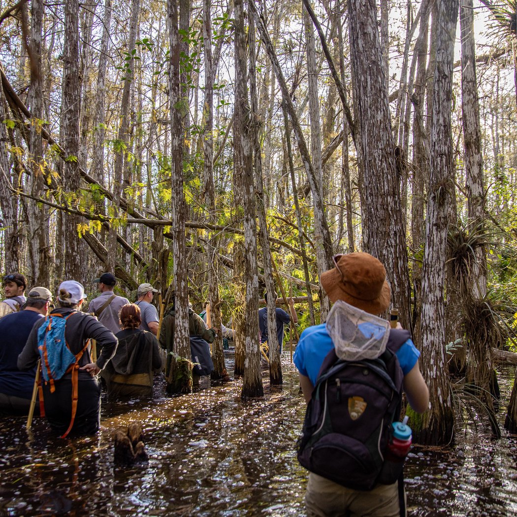 Free Guided Weekend Walk