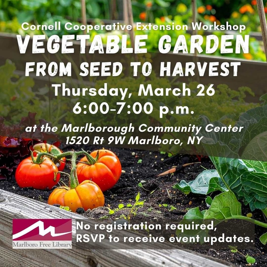 Vegetable Garden: From Seed to Harvest 1