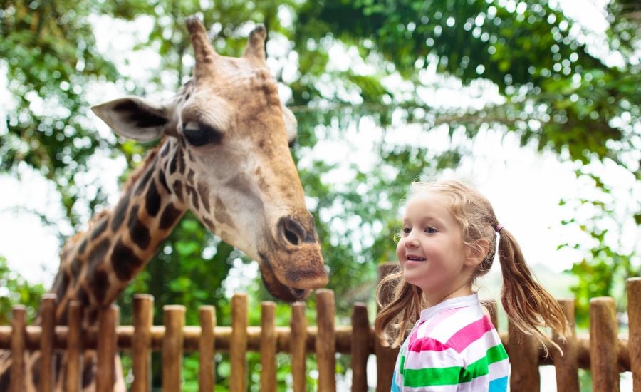 Happy Hollow Park & Zoo 1