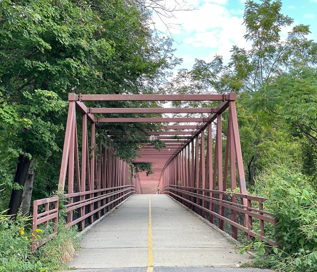 Busse Woods 2