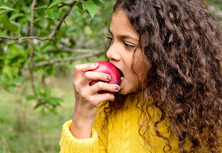 Apple Tasting 1