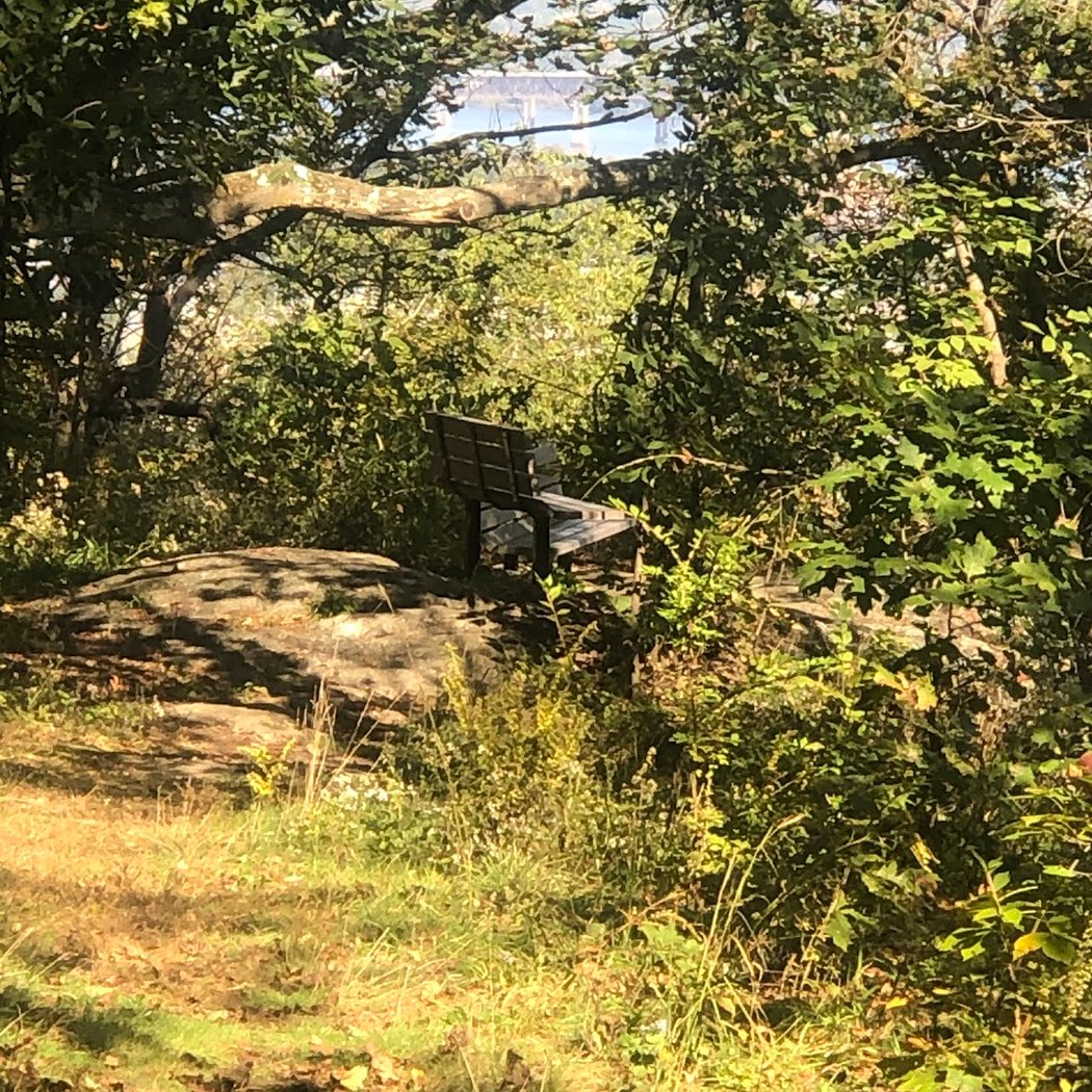 Snake Hill 3