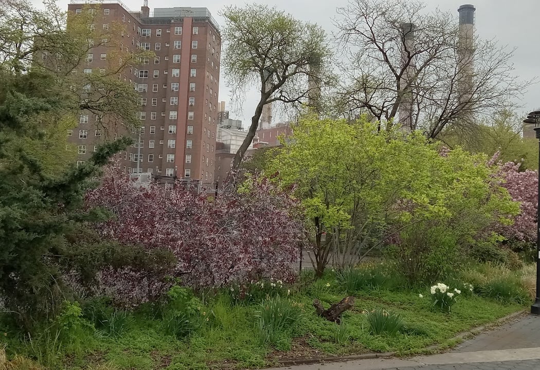 East River Promenade 5