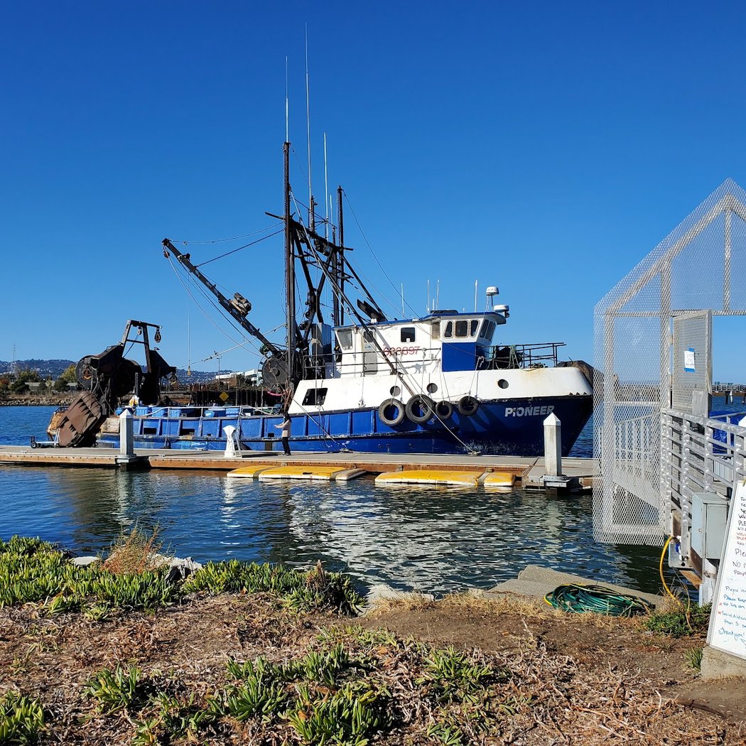 Port of Redwood City Public Fishing Pier 2