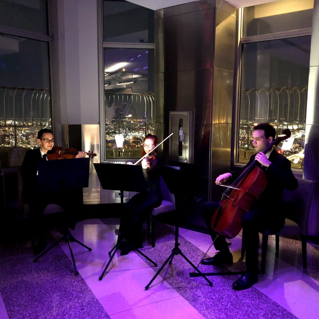 SPN EVENTS - String Quartet | Wedding Bands | Wedding Musicians in NYC 3