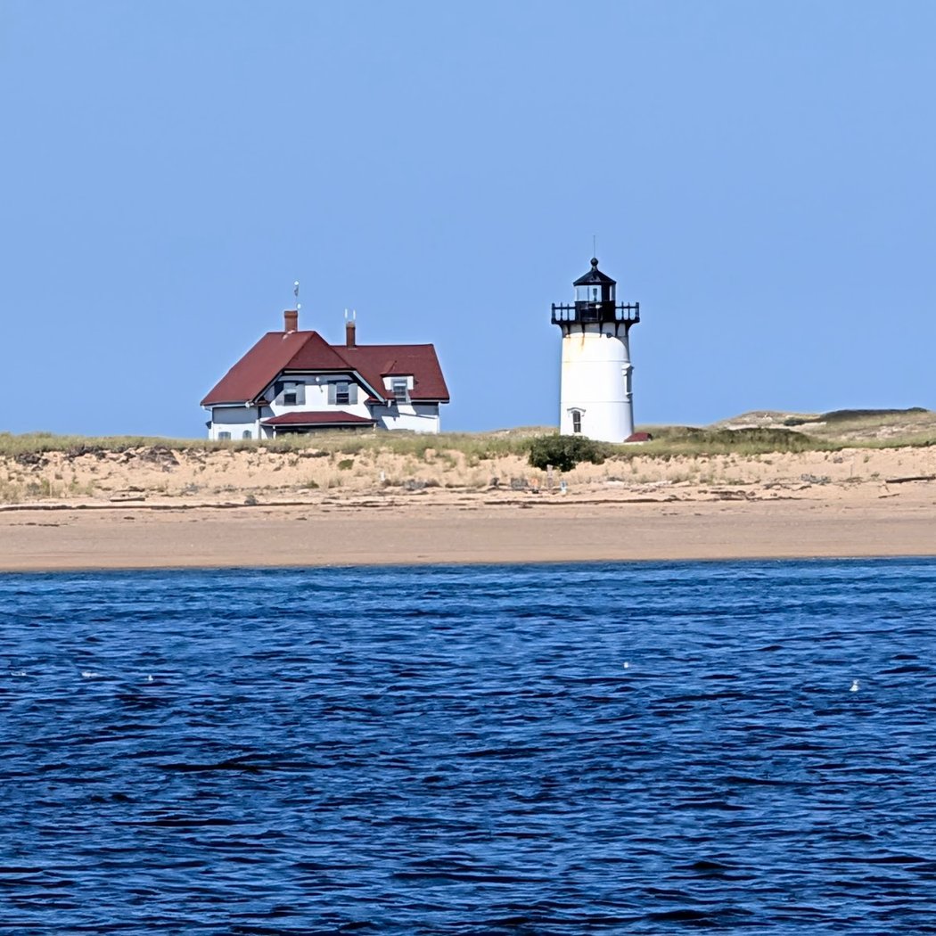 Dolphin Fleet Whale Watch 3