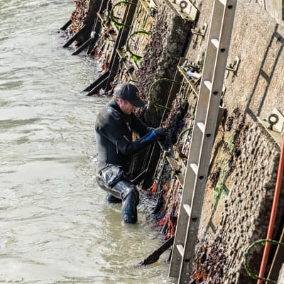 Water Futures: Flood Zone 1