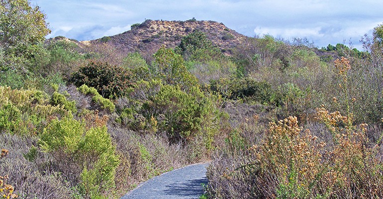 San Elijo Lagoon Ecological Reserve 4