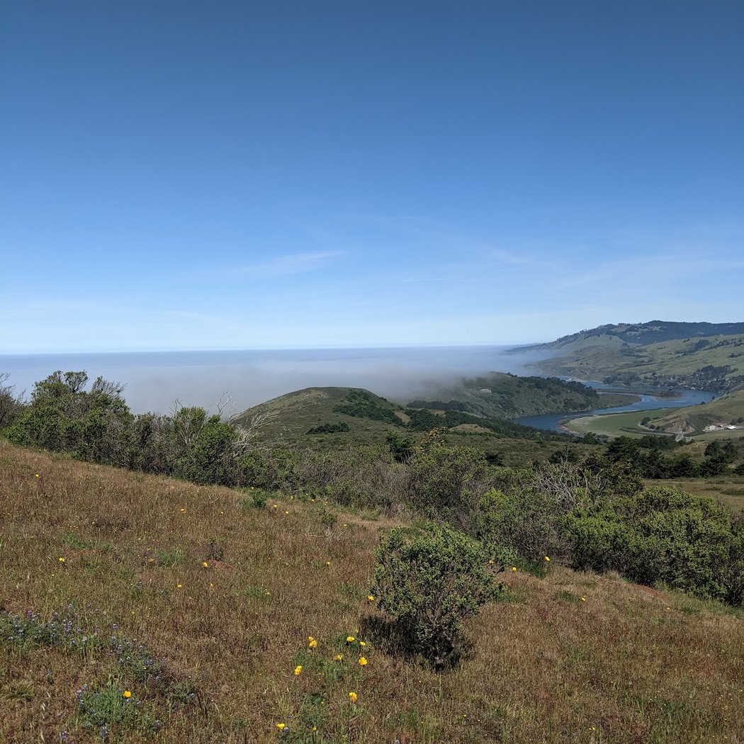Pomo Canyon Trail 2