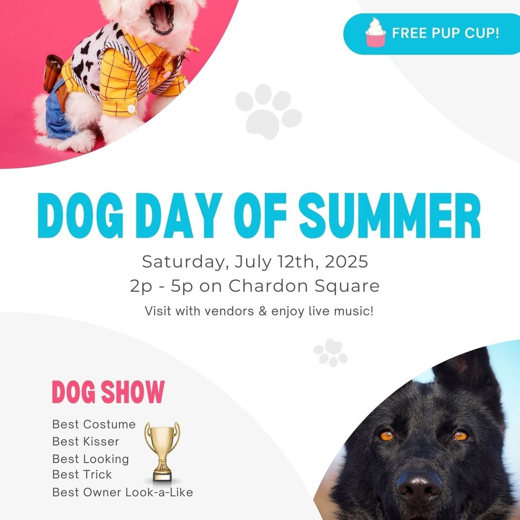 Dog Day of Summer 1
