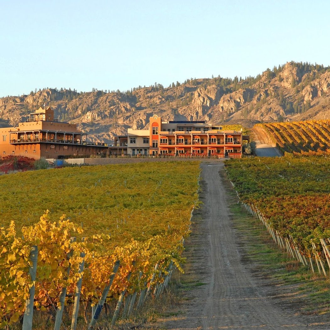 Burrowing Owl Estate Winery 3