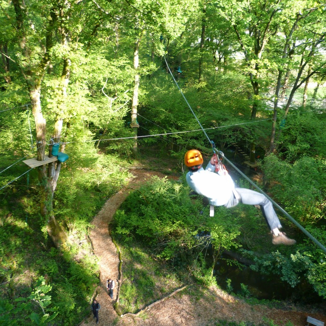 La Foret des Vert'tiges 1