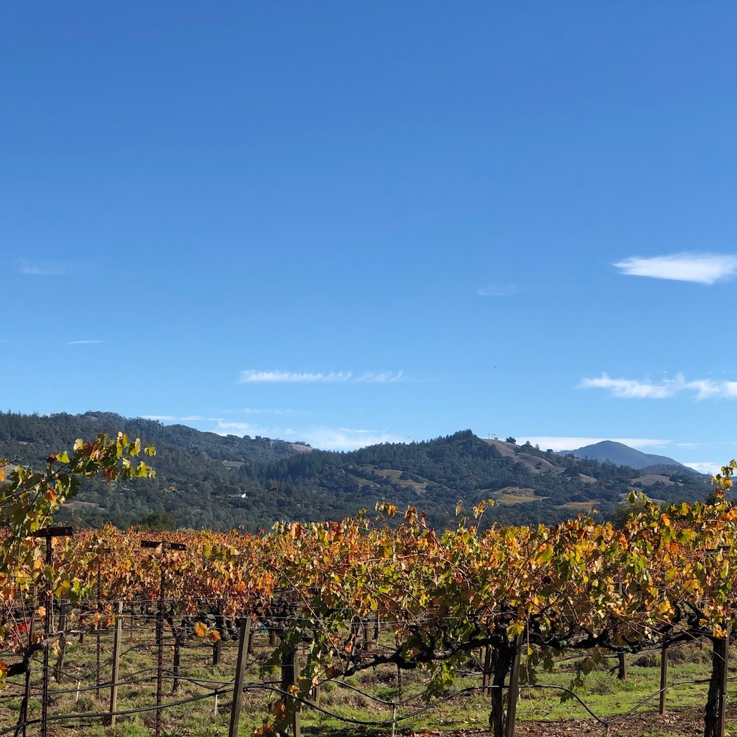 Dry Creek Valley AVA 2