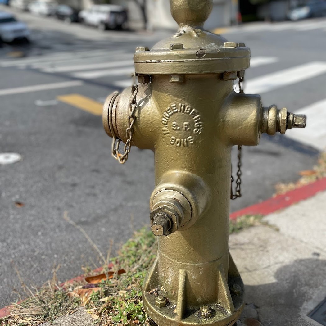 Golden Fire Hydrant Annual Celebration 2