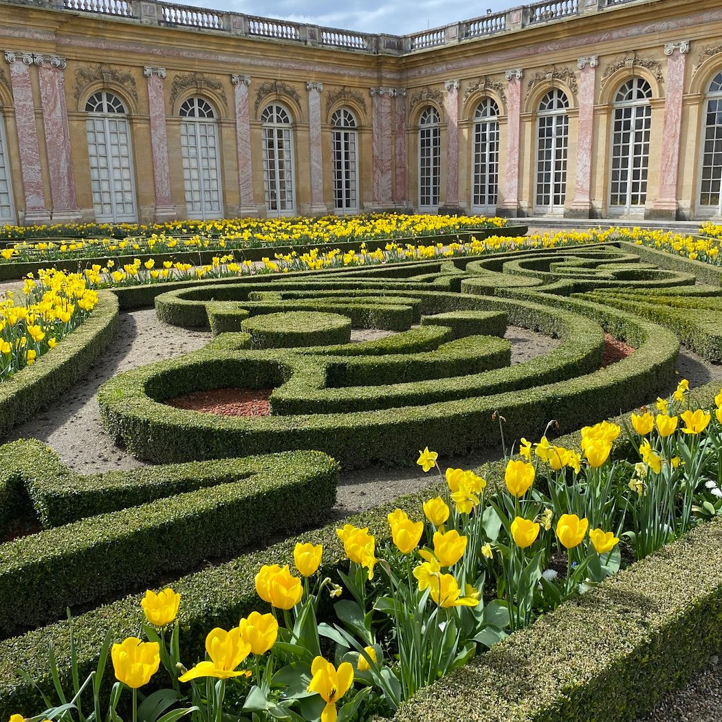 Festivities at Versailles 4