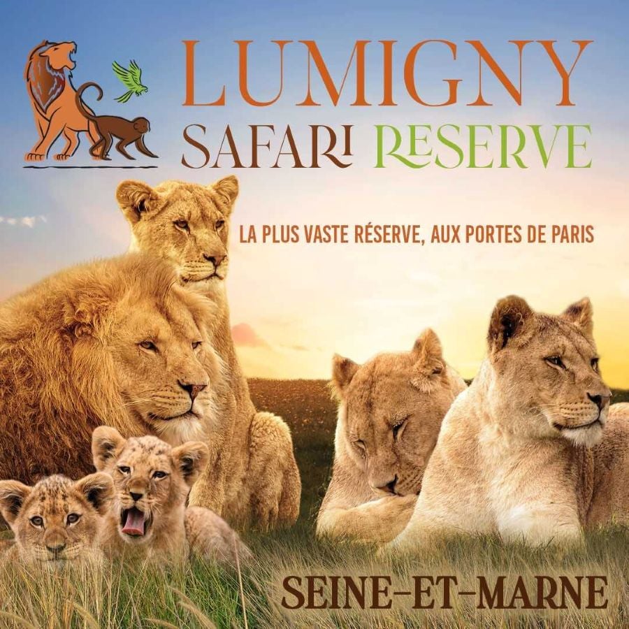 Feline Park 1