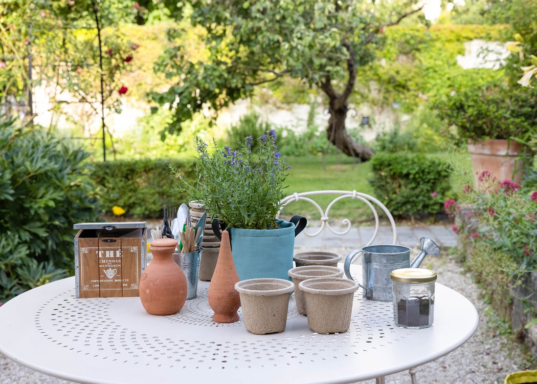 Atelier de jardinage - Potager de balcon 1