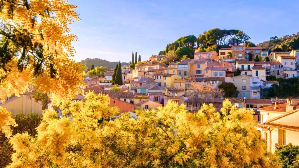 Bormes-les-Mimosas 1