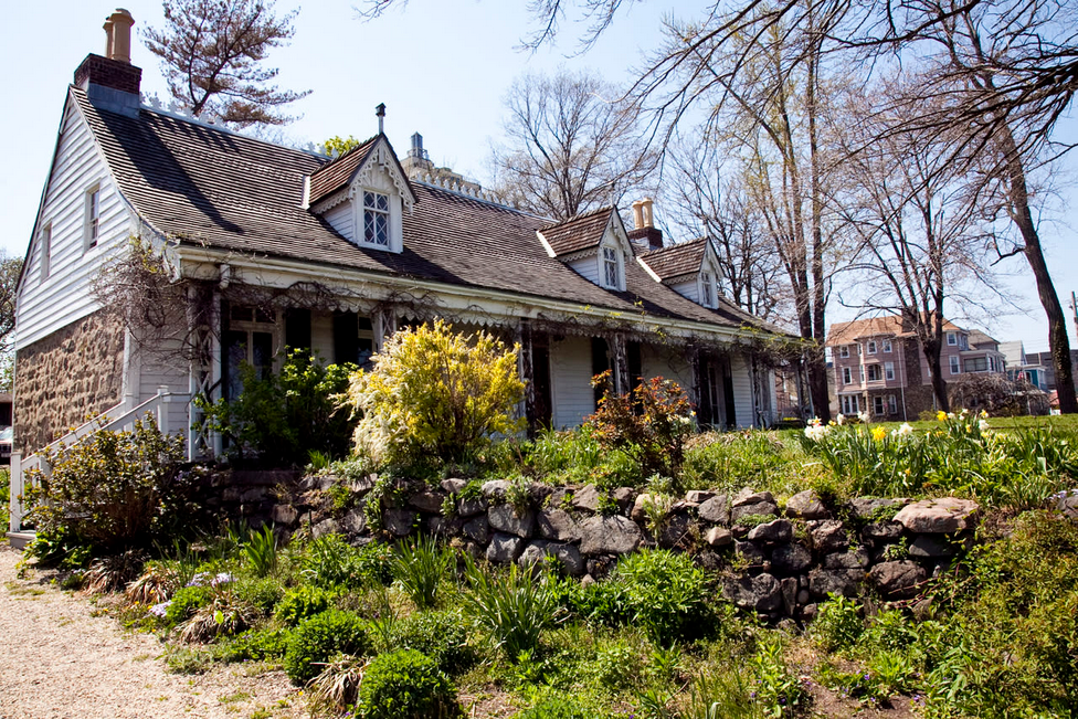 Cyanotype Workshop & Garden Tour 5