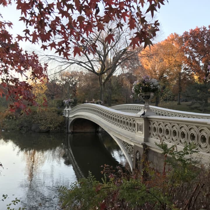 Central Park Adventure Scavenger Hunt 1