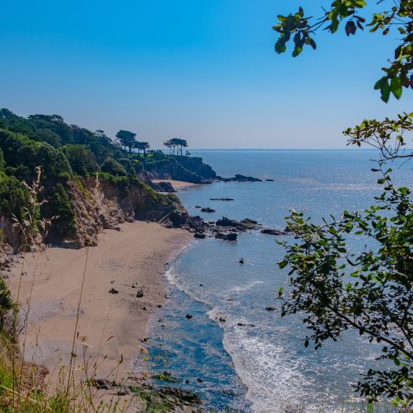 The wild coast 1