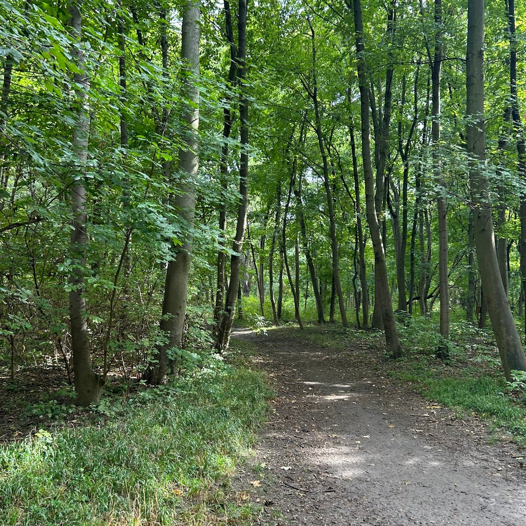 Stadtwanderweg 9 2