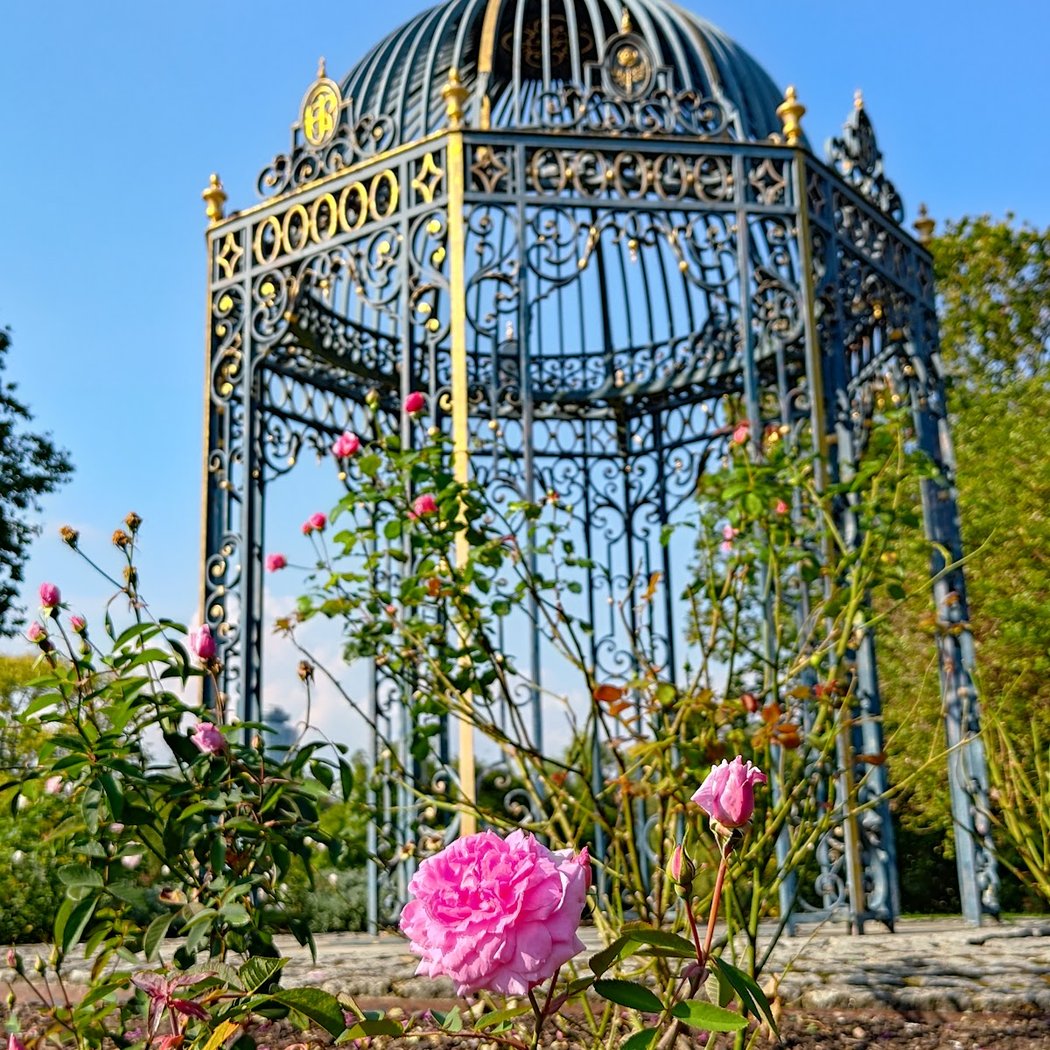 Queen's Garden 1