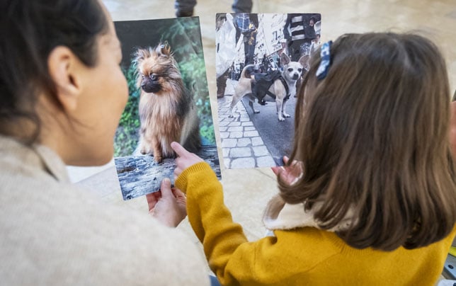 Club de Défense des Animaux Paris 12 5