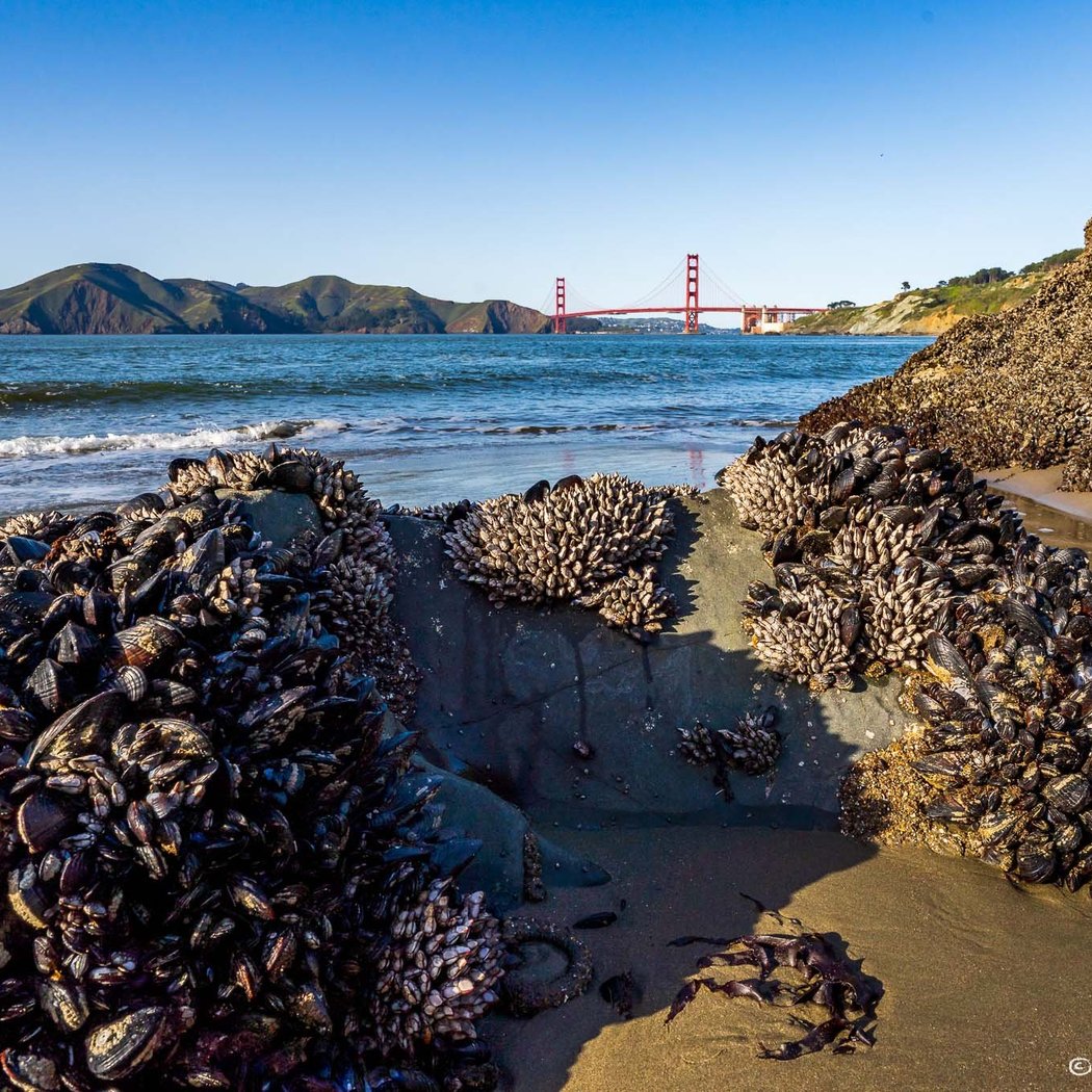 China Beach, San Francisco 3