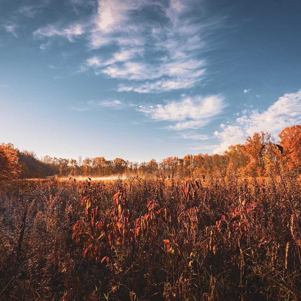 Great Swamp National Wildlife Refuge 2