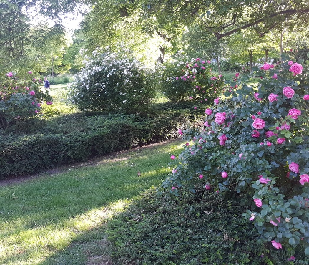 Parc d'Orgemont 3