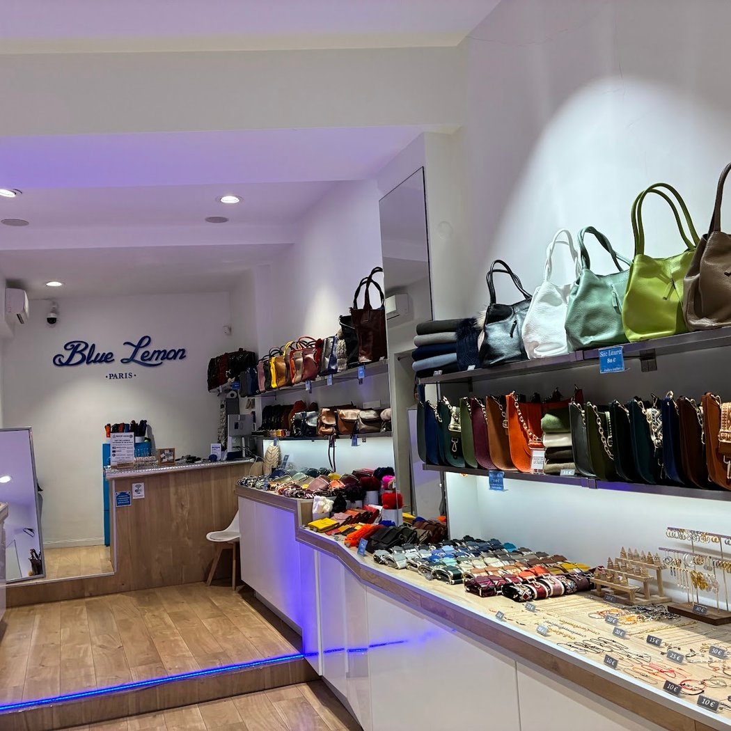 Blue Lemon Paris - Odéon - sac cuir femme - sac cuir paris - pochette femme - sac à dos femme 3