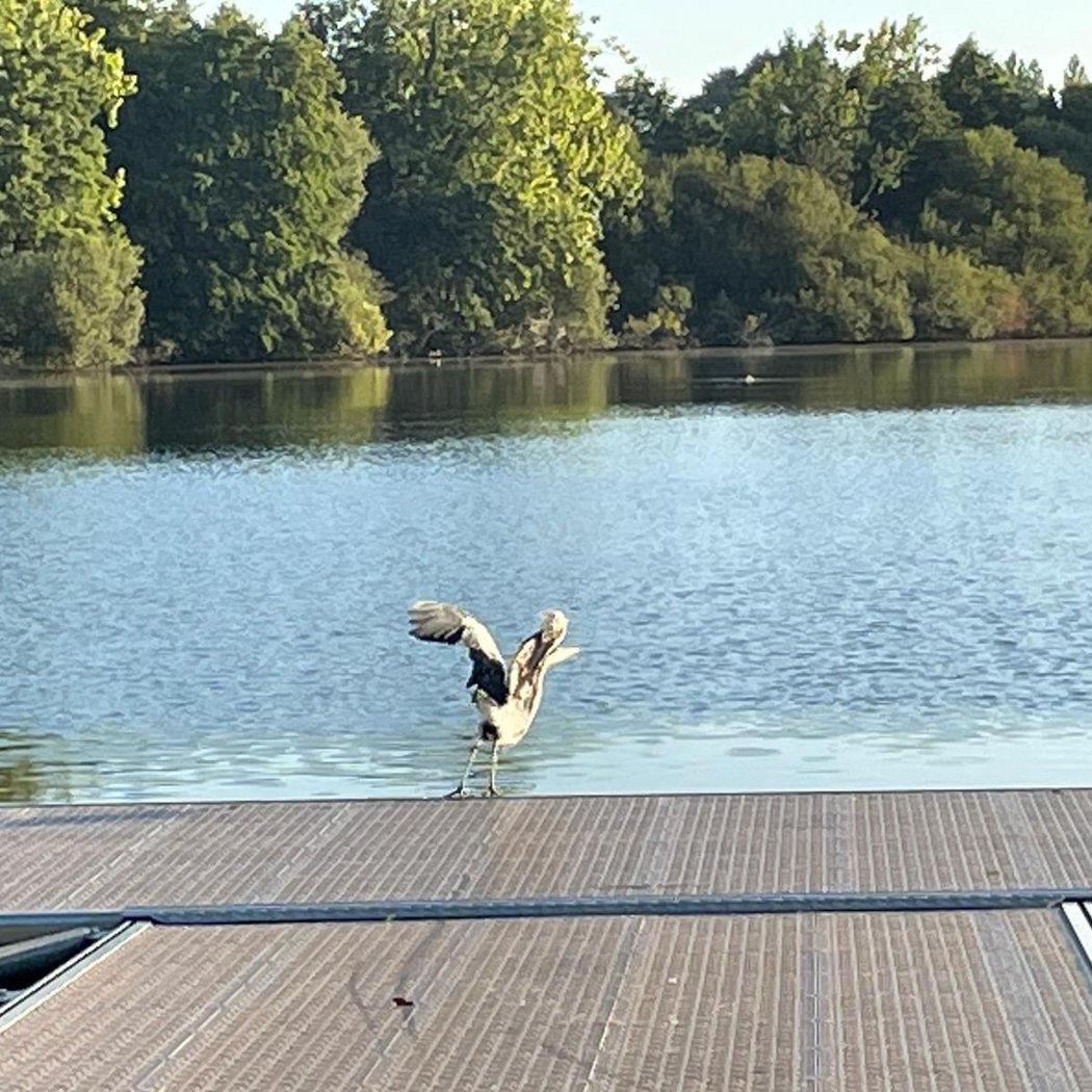 Etang du Bois Joalland 2