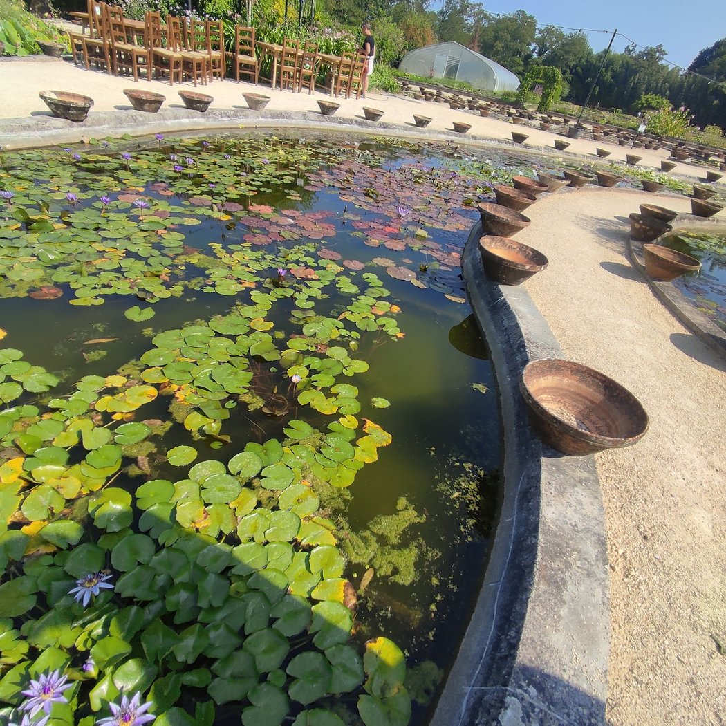 The Garden Of Lilies 2