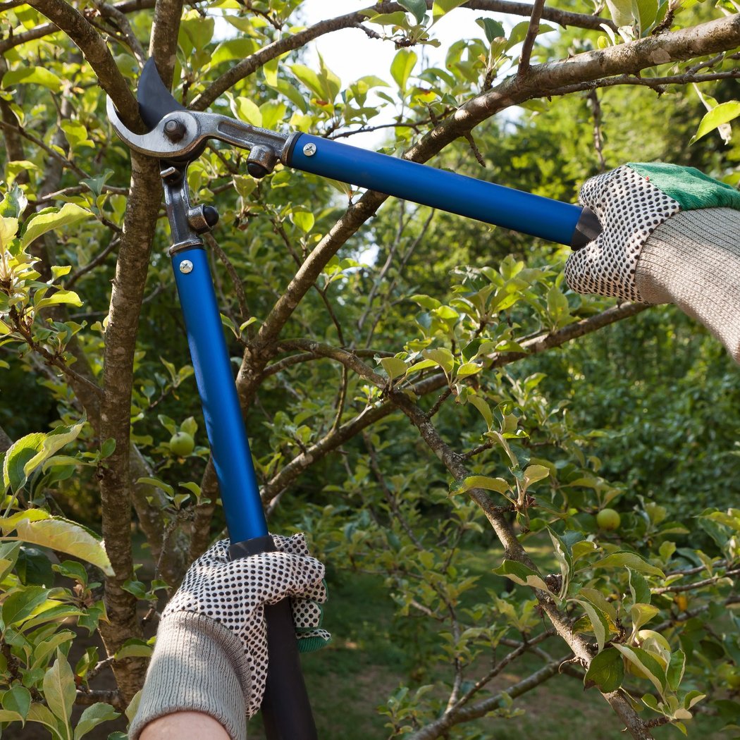 Pruning: Why, When, and How 1
