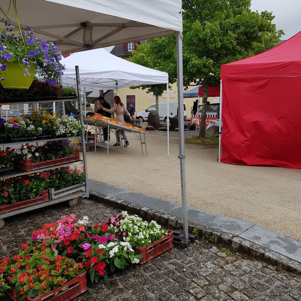 Marché à GELOS 2
