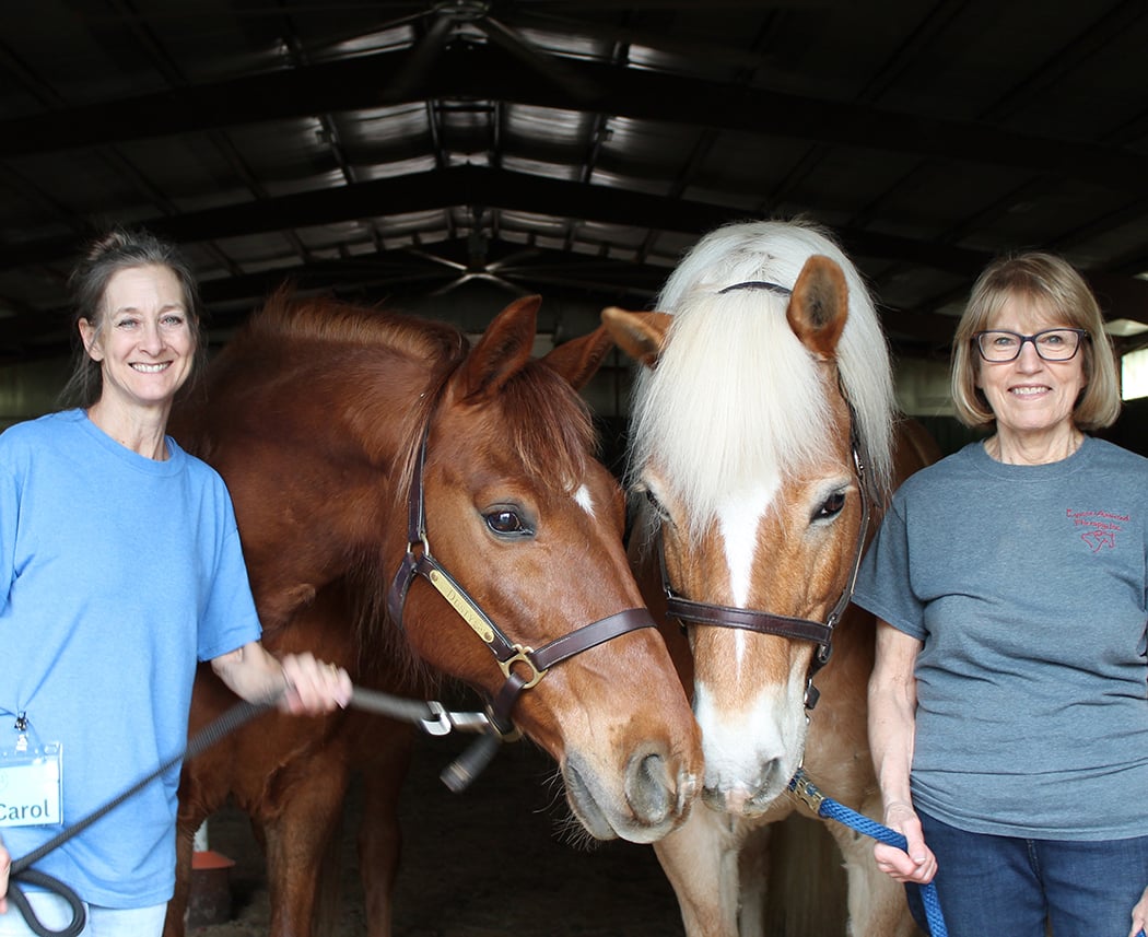 From the Ground Up: Volunteer Day at the Ranch 2